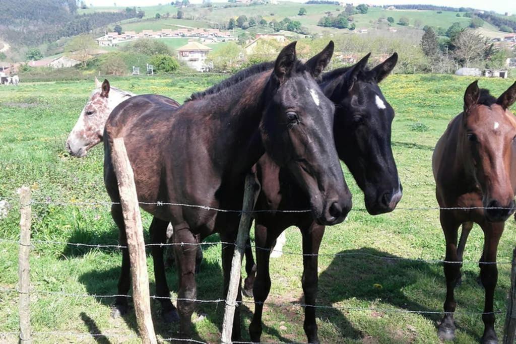 Chalet Familias 10 Huespedes Beranga Noja Playas, Mascotas Bienvenidas المظهر الخارجي الصورة